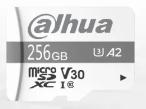 [DTF-P100/256GB_V2] CARTE MEMOIRE MicroSD 256GB DAHUA